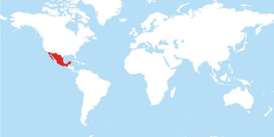 Kartta Meksiko global